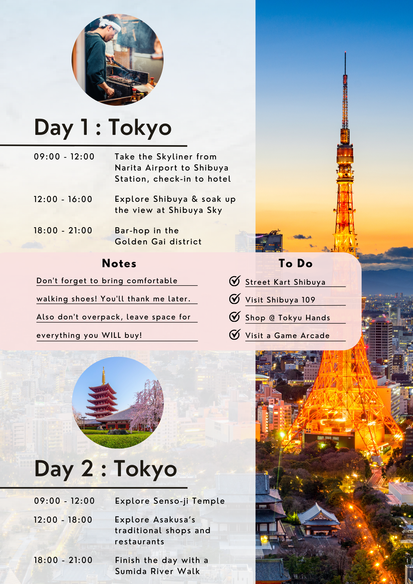 Japan Travel Itinerary
